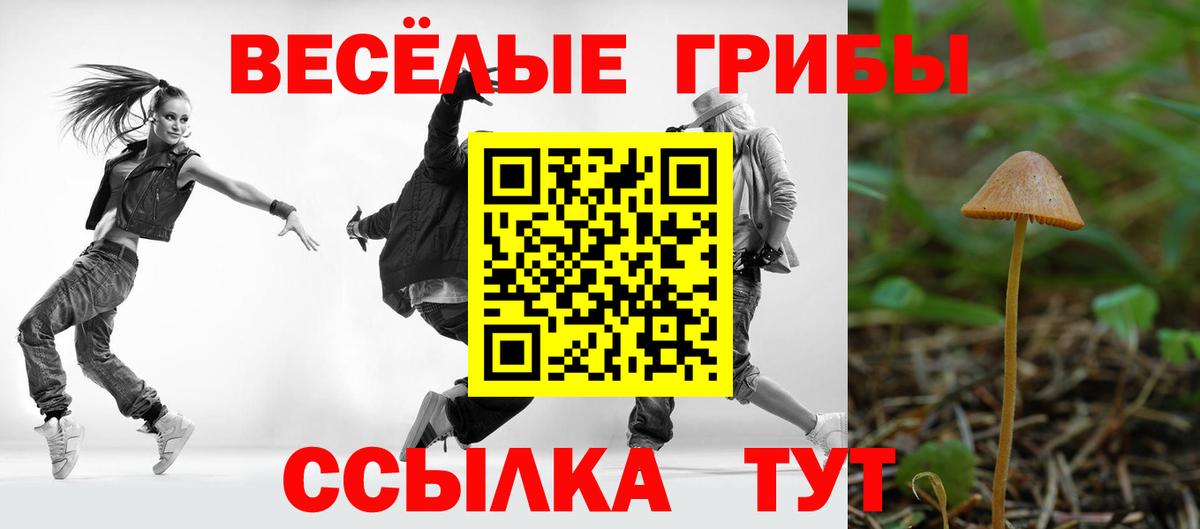 Псилоцибиновые грибы GOLDEN TEACHER Крымск